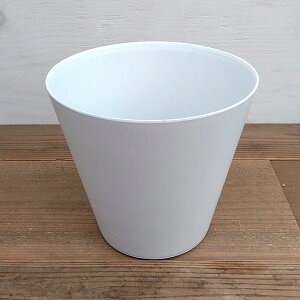 [�I���Z�[��]�A�[�g�X�g�[�� �R�j�b�N �z���C�gS�i���a22cm�j