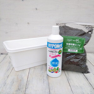 ~jv^[38^zCgƉ|lbgIWi|{yƃnC|lbNXt̃Zbg