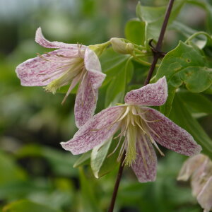 N}`X̕c/N}`XFAhxg xY4|bgi~炫EVzTnj