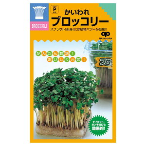 V̎iXvEg͔|pjFubR[[^l]