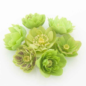 i[Z[̃NX}X[YF_uO[n3|bg