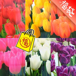 `[bvFd炫i~bNX 3 7|bgZbg