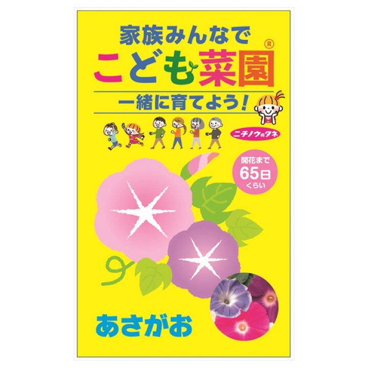楽天市場 こども菜園 あさがお 花のタネ 春まき 園芸ネット プラス
