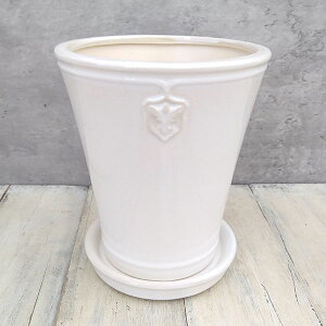 NX}X[YpFRose de Noel Parfaite@MTCYi5jEMt