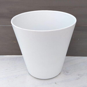 [�I���Z�[��]�A�[�g�X�g�[�� �R�j�b�N �z���C�gXS�i���a17cm�j