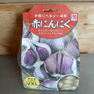 ؂̕c/jjNFY@Ԃɂɂ500O[؂̋EA8`9]