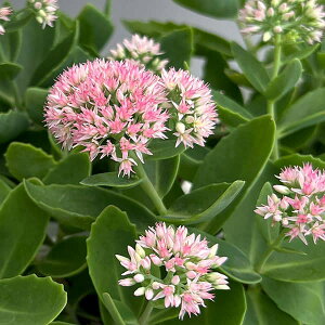 Ԃ̕c/xPC\EFI[^WC3|bg