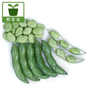 ؂̕c/܂߁Eꐡ\}̕c3|bgc 2Zbg