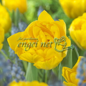 /`[bvid炫jF}[W3iDEji炫j