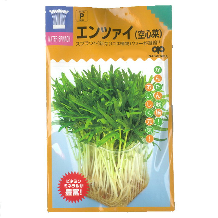 楽天市場 もやし スプラウト 用 エンツァイ あさがお菜 タネ 園芸ネット プラス
