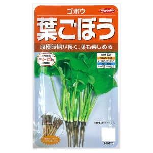 S{EFtڂ@̎[؃^l@TJ^]