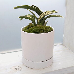 ϗtA/IgiNjFEA^ASSEMt