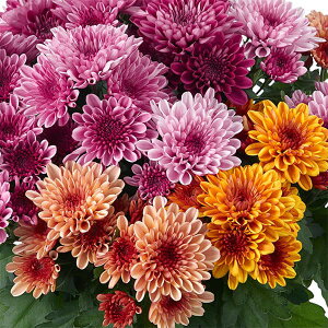 |bgNTZ}E}EgI[rXN 3F~bNX5A