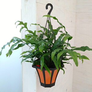 ϗtA/JK[t@i~N\EEfBxVtHEj5ݔA