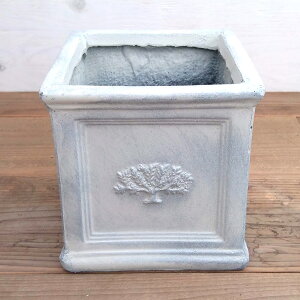 XNGA|bgtHXg6zCg (22×22×22cmj