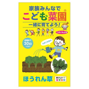 zE\EFǂ؉(R)iق񑐁j[؂̃^l]