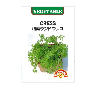 yL25N11zؗthNX@̎ [N܂ ؃^l]