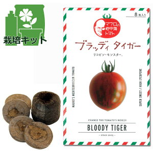 �g�}�g�F�u���b�f�B�^�C�K�[�̎�8���ƃW�t�B�[�y���b�g�̃Z�b�g[��؃^�l ����]