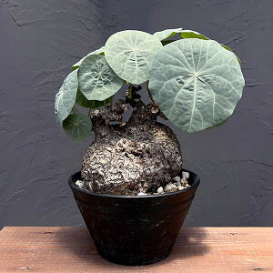 ϗtA/Xet@jAFJEB[TL[isp.moj 9A