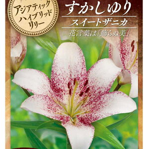 /[]iSjFXC[gUjJ2 10܃Zbg