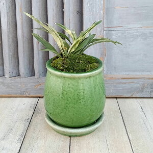 ϗtA/IgiNjFPOEA^XeEhSEMt