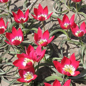 /[]`[bvinjF^Cj[eB5 10܃Zbg