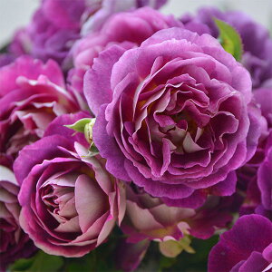 o̕c/TEIGeBXFItFI6pA*(o)