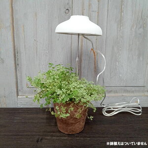 琬CgXeBbNEzCgiLEDA琬Cgj