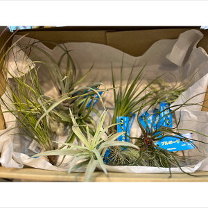 ϗtA/[]`WAiGAvcjLTCY@A\[g 10Zbg