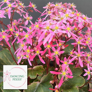 TLVtKF_VOsNV[@cCL[5A