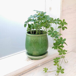 ϗtA/pZmVbTXVK[oC^XeEh