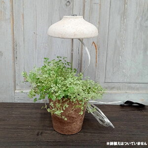 琬CgXeBbNEi`iLEDA琬Cgj