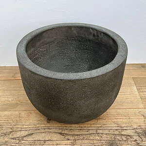 i킯jfbJ[ {E _[NO[iDGj38cm