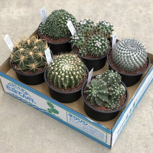 ϗtA/[]T{e i~bNX5vA 6Zbg