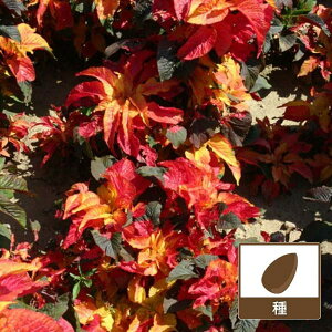 A}TXinQCgEEt{jFJ[jo 2Zbg