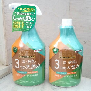 EEۍ܁FxjJi`Xv[1000ml{̂ƂpZbg