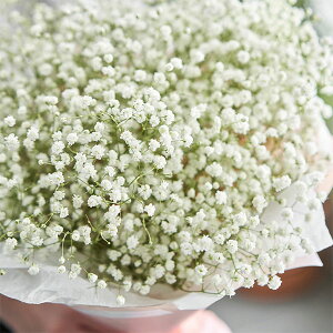 Ԃ̕c/hJX~\EFtFXeBozCg3|bg