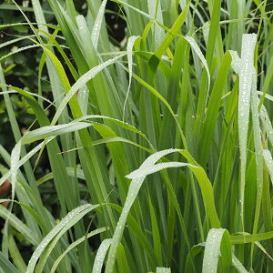 Shfge48o6rvqnm Shfge48o6rvqnm