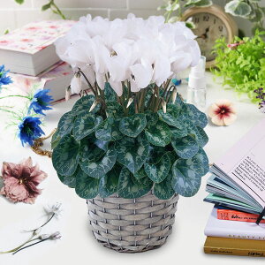 []VNFnIX@sAzCg5AGYJS