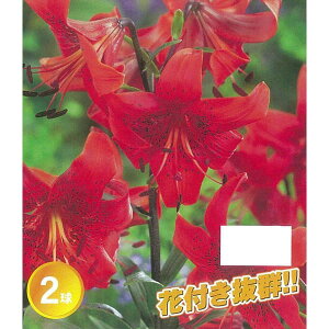 /FVfA[@bhxxbg2 2Zbg