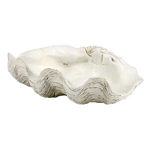 �V�F���v���[�g(80429)�i��40cm�j