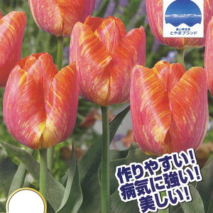 /`[bvF[₯3iTj 2Zbg