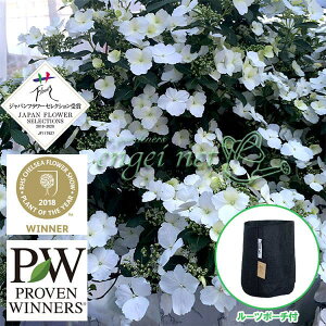 Ԗ ؂̕c/OWAiAWTCjFuC_V[3.5|bgƃ[c|[`̃ZbgiubNj