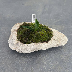 ϗtA/IgiNjFoEA^܌yΔ