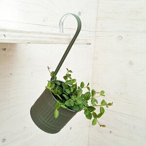 ϗtA/؂؃~AFAO[^3@EF[unO|bgJ[L