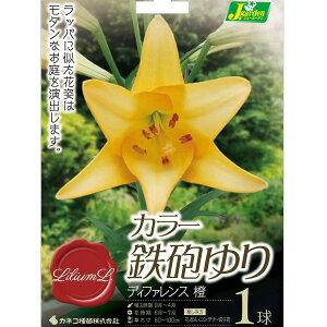 /FJ[SC@fBt@X1 2Zbg