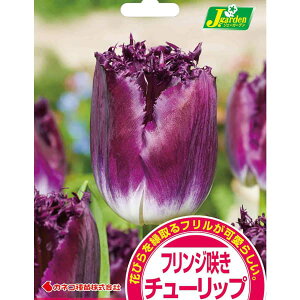 /`[bvitWjFp[vNX^ij5iFRj 2Zbg