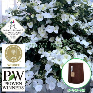 Ԗ ؂̕c/OWAiAWTCjFuC_V[3.5|bgƃ[c|[`̃ZbgiuEj