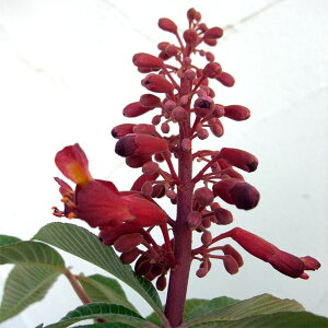 Ԗ ؂̕c/}jGimg`mLjFuIbeB4|bg