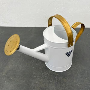 WEiX`[j1.65LFWEV[SzCg 1D65Li4462j